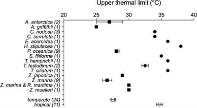 Seagrass Thermal Limits and Vulnerability to Future Warming